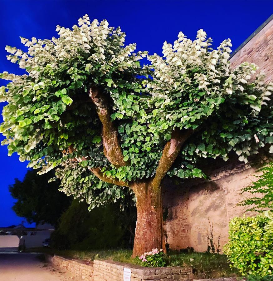 Bed and Breakfast La Dormance Beaune  Exterior foto